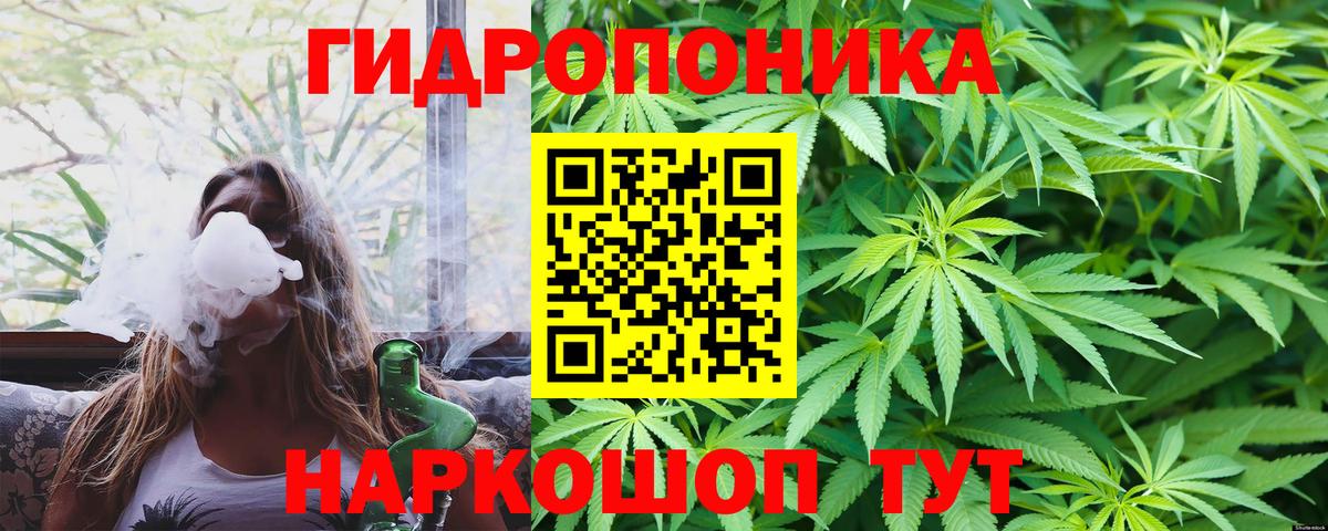 Конопля индика  Канабис Bruce Banner  Балтийск  Вход с VPN  Каннабис план 